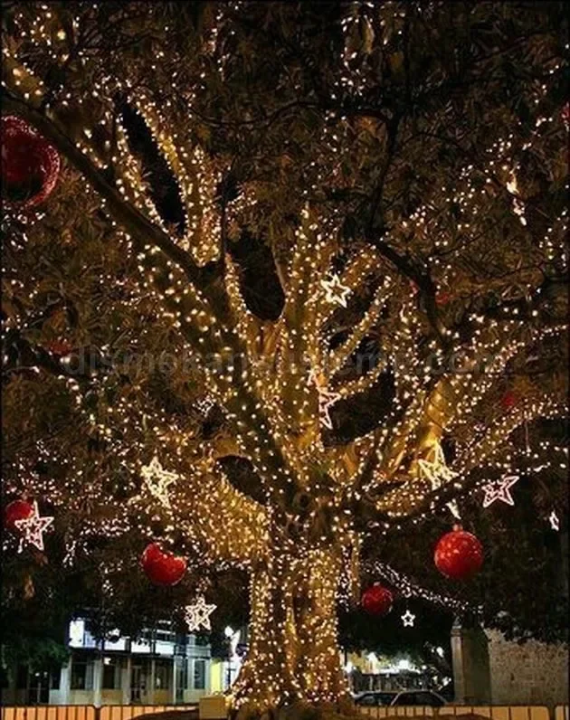 LED Işıklandırma - www.ledisiklandirma.com